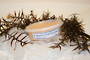 Smoked Salmon Pate with Dill